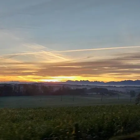 Goldener Anker
