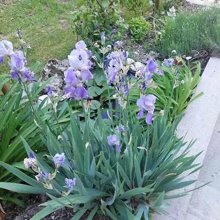 Appartement Goldener Anker